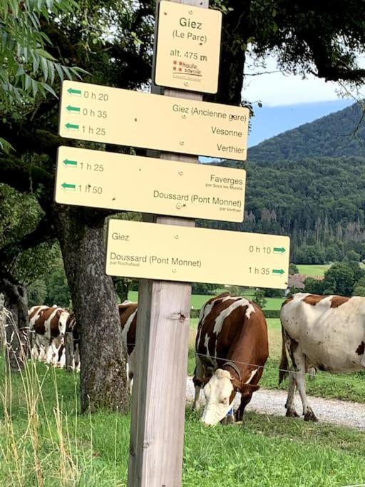 Petit Cocon Entre Lac, Golf Et Montagne, Proche D'Annecy Giez Ngoại thất bức ảnh