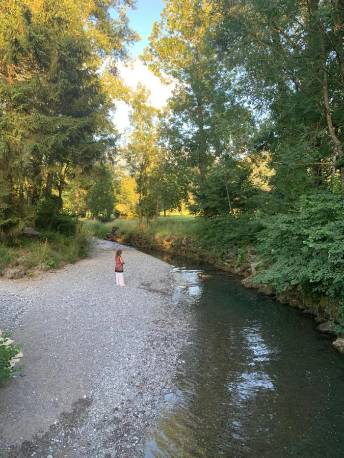 Petit Cocon Entre Lac, Golf Et Montagne, Proche D'Annecy Giez Ngoại thất bức ảnh